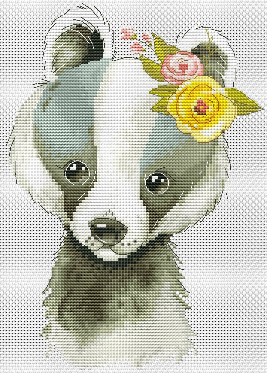 Cross stitch pattern, Badger, Animal cross stitch, Counted cross stitch